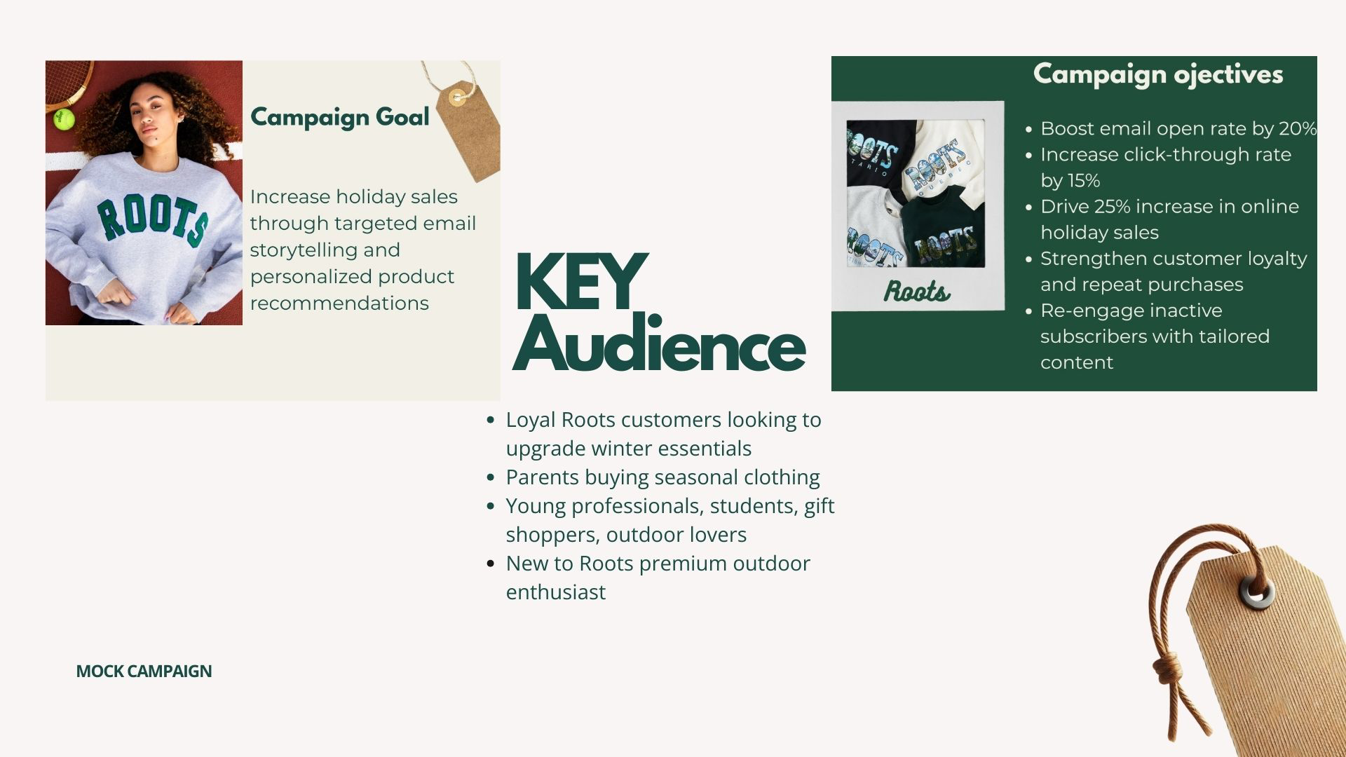 Campaign Goals & Key Audience